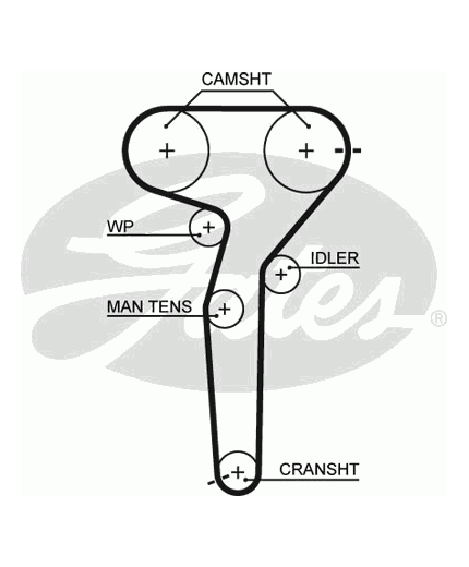 GATES Ремень ГРМ