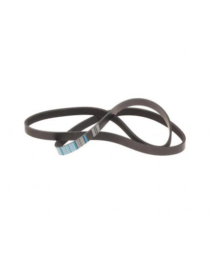 DONGIL Ремень поликлиновой