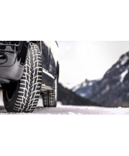 NOKIAN WR C3 205/65R16C 107/105T