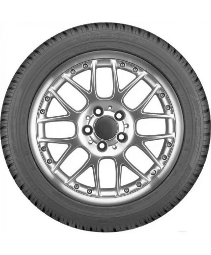 DUNLOP SP Winter Sport 3D 285/35R20 100V (run-flat)