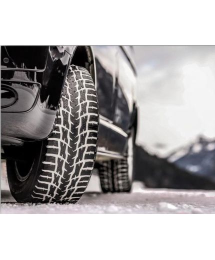 NOKIAN WR C3 225/55R17C 109/107T