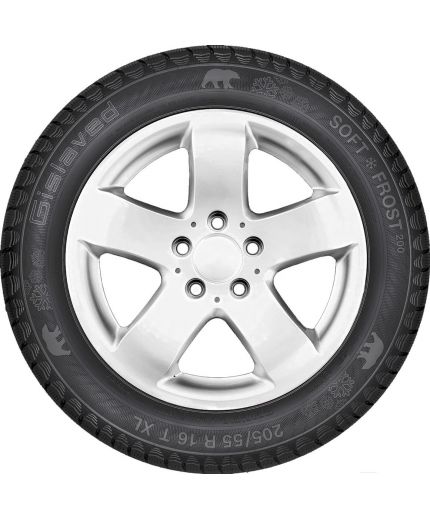 GISLAVED Soft*Frost 200 195/65R15 95T