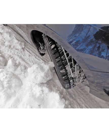 CORDIANT Winter Drive 195/65R15 91T Фото 2