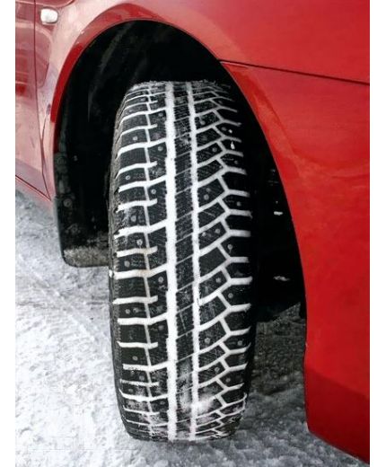 CORDIANT Polar 2 205/55R16 91T Фото 2