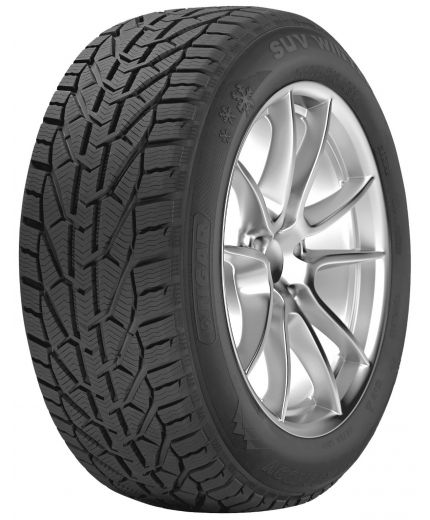 TIGAR ICE 195/65 R15 95T XL