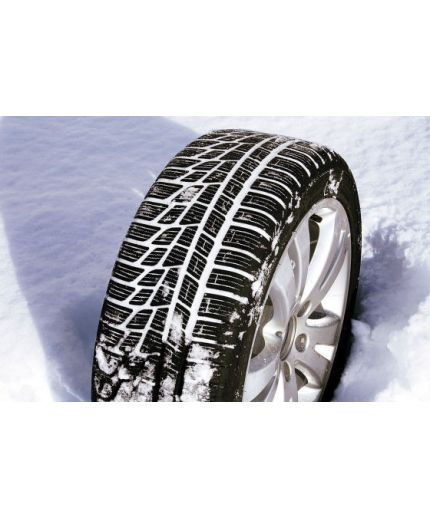 NOKIAN WR G2 225/55 R16 99V XL Фото 2