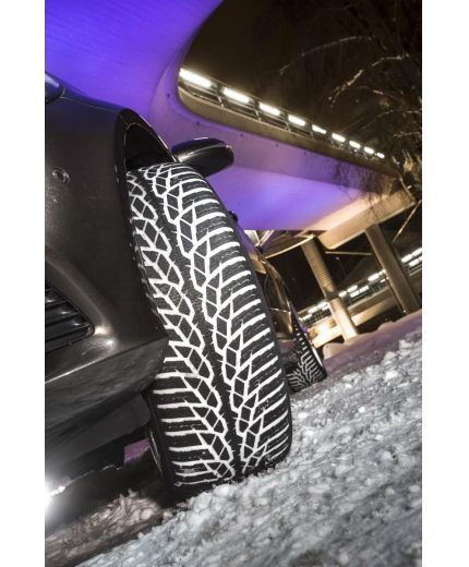 NOKIAN WR D4 155/65R14 75T Фото 5