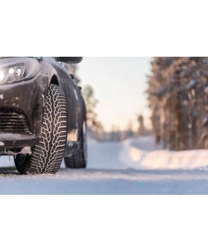 NOKIAN WR D4 195/65R15 91T Фото 5