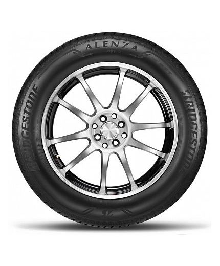 BRIDGESTONE Blizzak DM-V2 225/55R19 99T