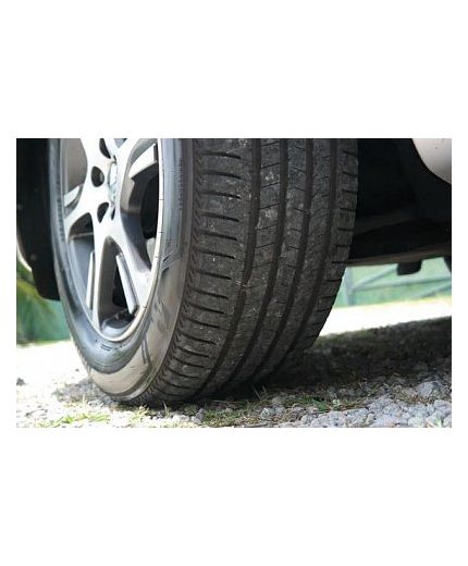 BRIDGESTONE Blizzak DM-V2 225/55R19 99T Фото 2