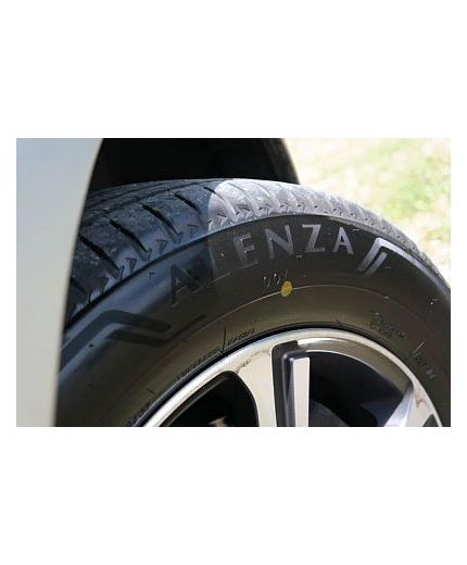 BRIDGESTONE Blizzak DM-V2 225/55R19 99T Фото 3
