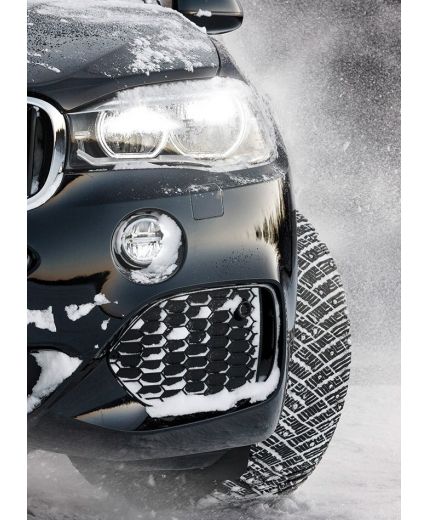 GOODYEAR UltraGrip Ice Arctic SUV 255/55R18 109T