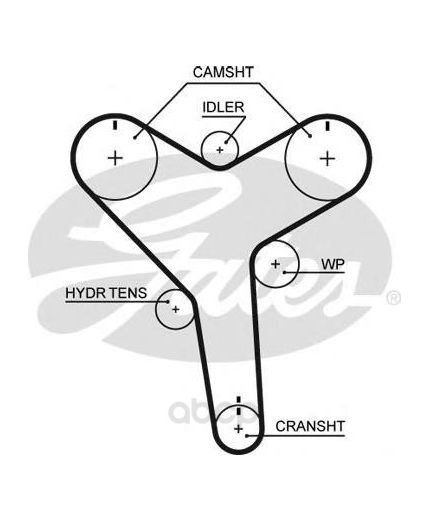 GATES Ремень ГРМ