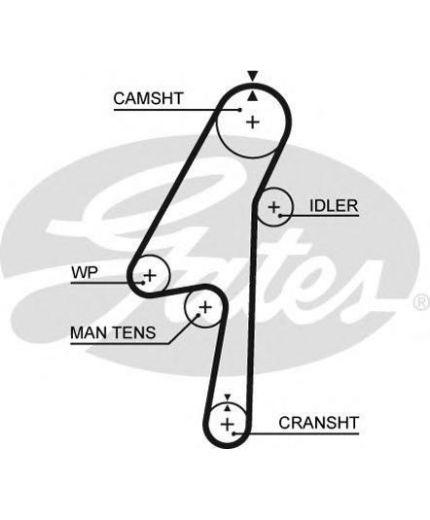 GATES Ремень ГРМ