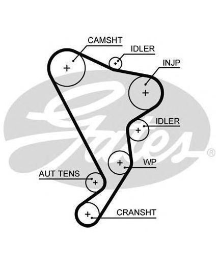 GATES Ремень ГРМ