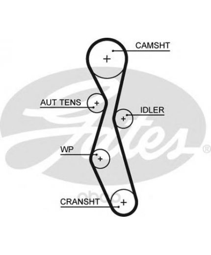 GATES Ремень ГРМ