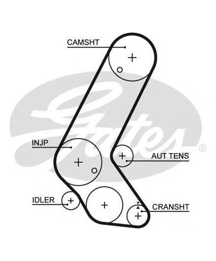 GATES Ремень ГРМ