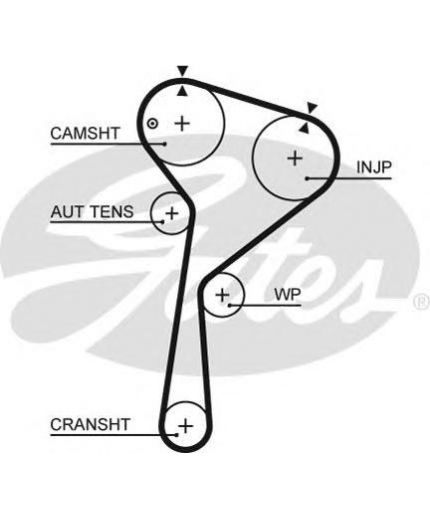 GATES Ремень ГРМ