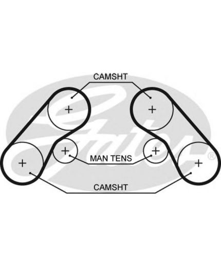 GATES Ремень ГРМ