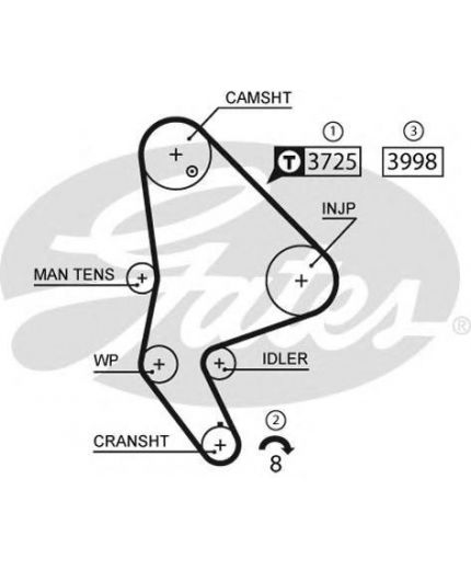 GATES Ремень ГРМ