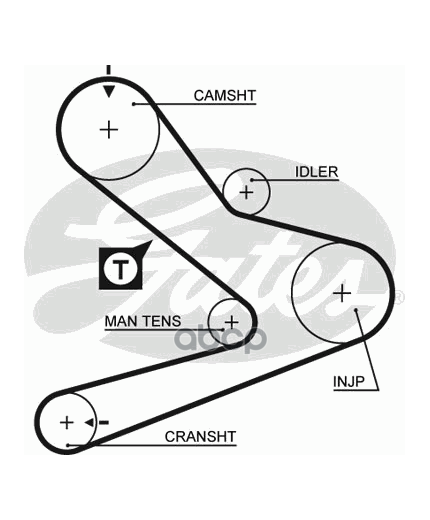 GATES Ремень ГРМ