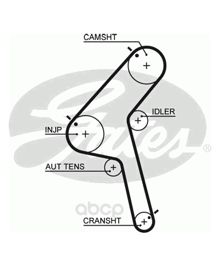 GATES Ремень ГРМ