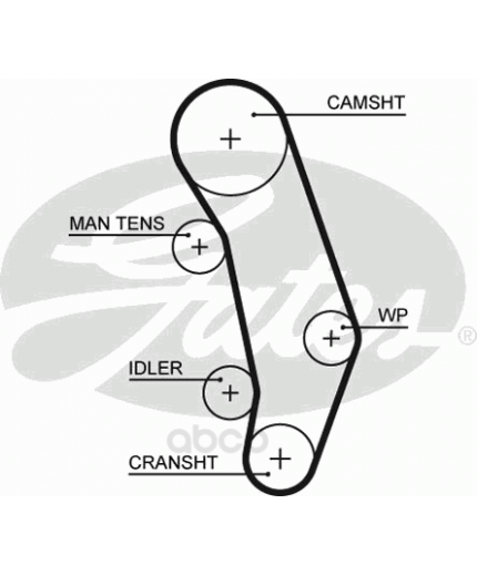 GATES Ремень ГРМ