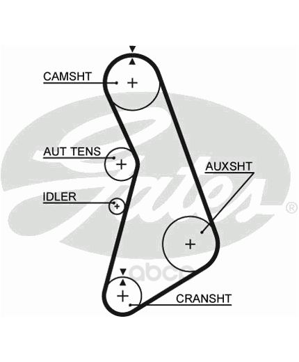 GATES Ремень ГРМ