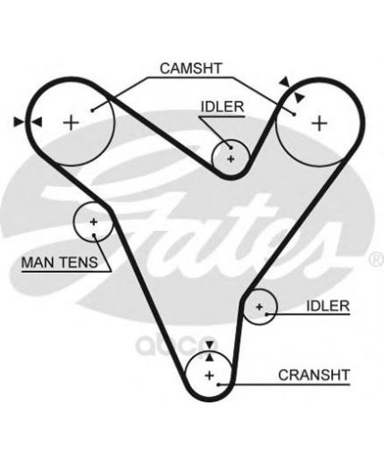 GATES Ремень ГРМ