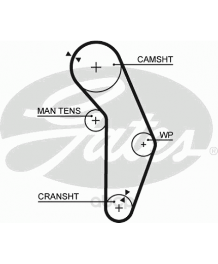 GATES Ремень ГРМ