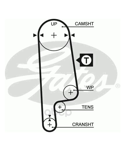 GATES Ремень ГРМ