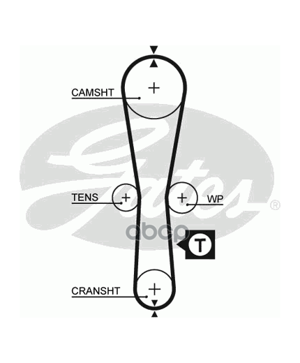 GATES Ремень ГРМ