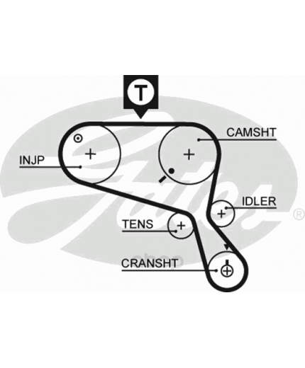 GATES Ремень ГРМ