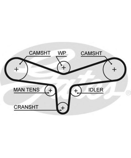 GATES Ремень ГРМ