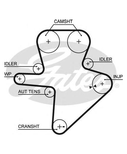 GATES Ремень ГРМ