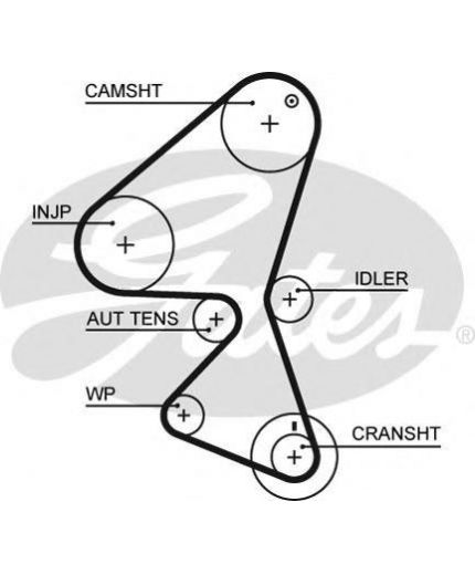 GATES Ремень ГРМ