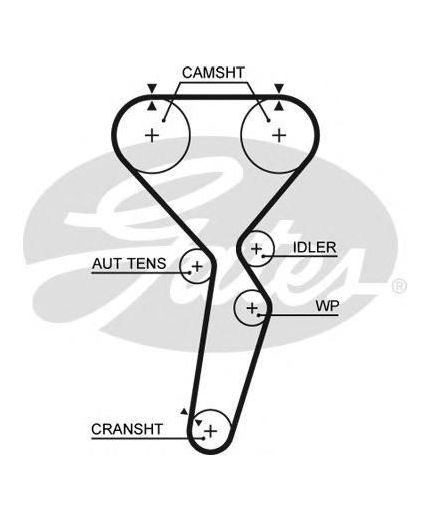 GATES Ремень ГРМ