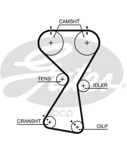 GATES Ремень ГРМ