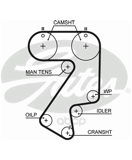 GATES Ремень ГРМ