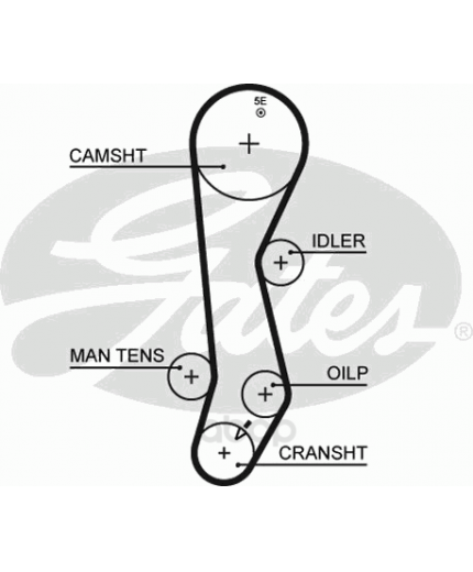 GATES Ремень ГРМ