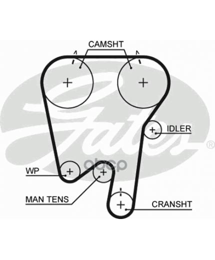 GATES Ремень ГРМ