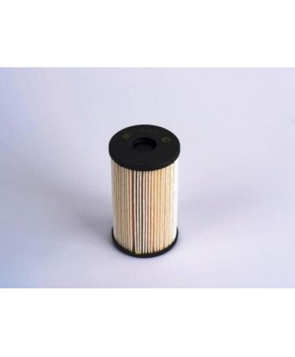 BIG Filter Фильтр топливный