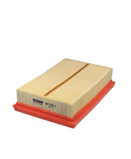 FILTRON Фильтр воздушный Фото 2