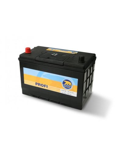 Baren Аккумулятор 19.5/17.9 рус (60 А/ч) 540A Фото 3