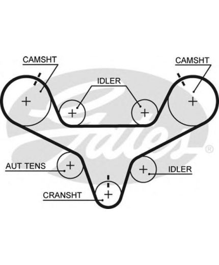 GATES Ремень ГРМ
