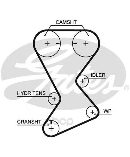 GATES Ремень ГРМ