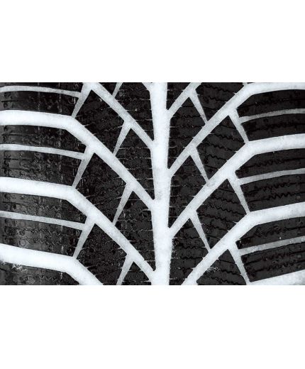 CONTINENTAL ContiWinterContact TS830 205/55R16 91T TL Фото 2