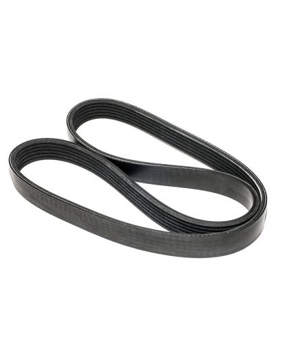 Patron Ремень поликлиновой