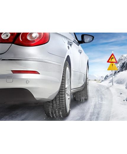 CONTINENTAL ContiWinterContact TS 830 P 225/55R17 97H Фото 2