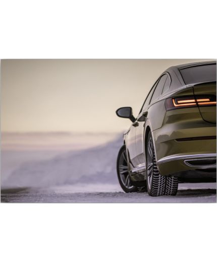 NOKIAN WR Snowproof 205/55R16 91H Фото 2